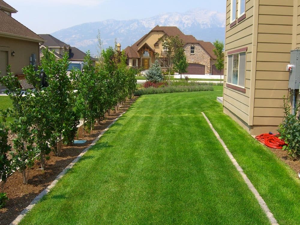 Lush green lawn beside residential homes with mountain view in the background.